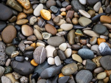 Deniz taşları. Yumuşak çakıl arkaplanı