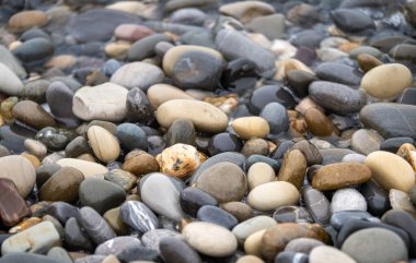Deniz taşları. Yumuşak çakıl arkaplanı