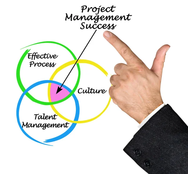 プロジェクト管理の成功の構成要素 — ストック写真