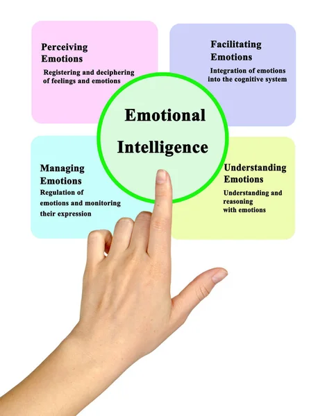 Quattro Componenti Dell Intelligenza Emotiva — Foto Stock