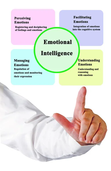 Quattro Componenti Dell Intelligenza Emotiva — Foto Stock