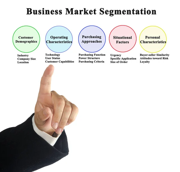 Cinco Maneras Segmentar Mercado Empresarial — Foto de Stock