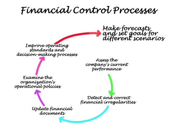 Sechs Komponenten Des Finanzkontrollprozesses — Stockfoto