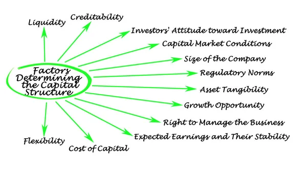 Factors Determining Capital Structure — Stock Photo, Image