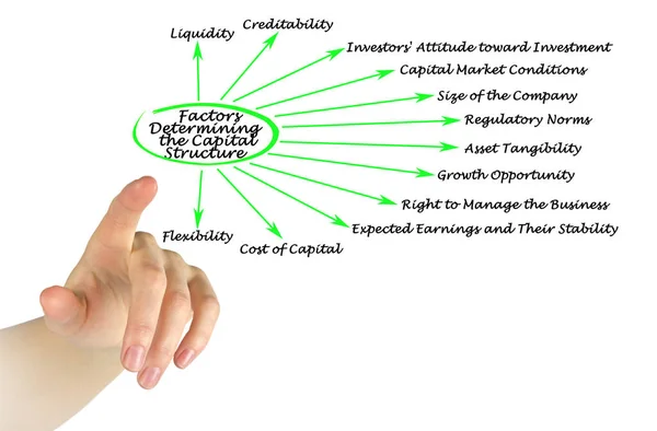 Factores Que Determinan Estructura Capital — Foto de Stock