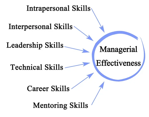 Six Drivers Managerial Effectiveness — Stock Photo, Image