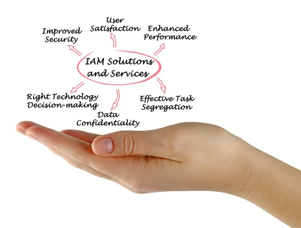 Präsentation Von Iam Lösungen Und Dienstleistungen — Stockfoto
