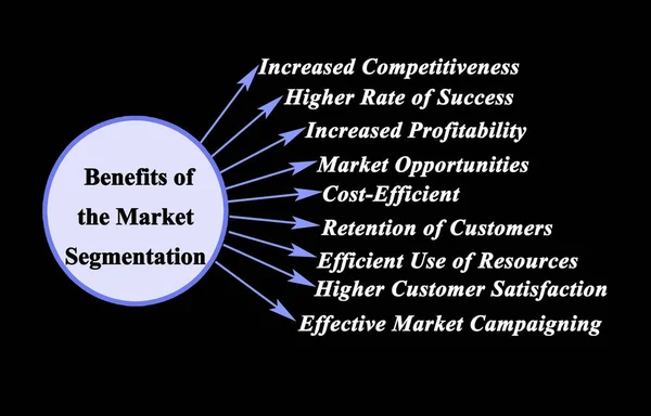 Nine Benefits Market Segmentation — Stockfoto