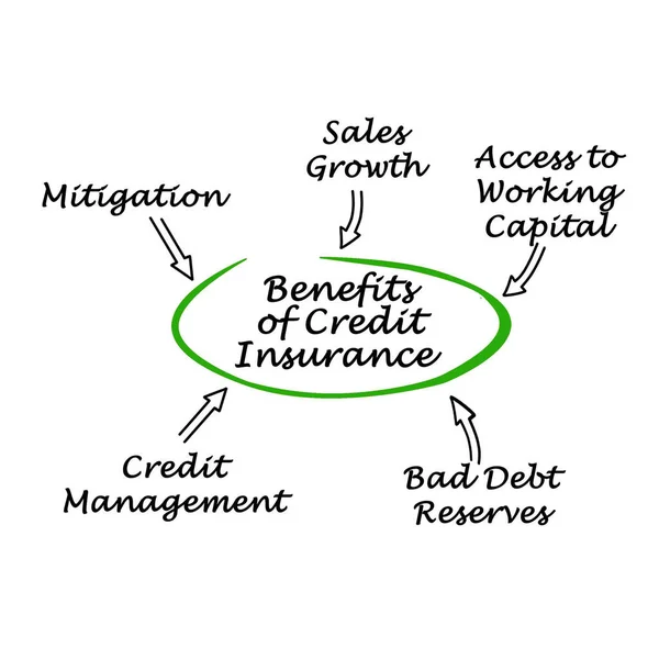 Fem Fördelar Med Kreditförsäkring — Stockfoto