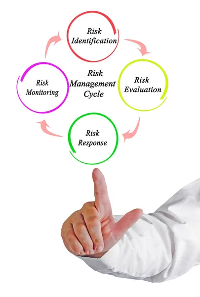 Komponenter Riskhanteringsprocessen — Stockfoto