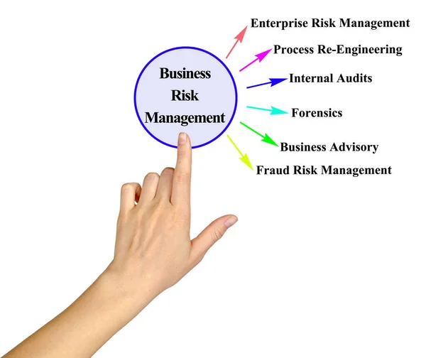 Frau Präsentiert Unternehmerisches Risikomanagement — Stockfoto