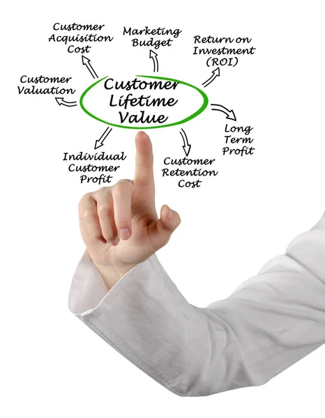 Woman Presenting Customer Lifetime Value — Stock Photo, Image