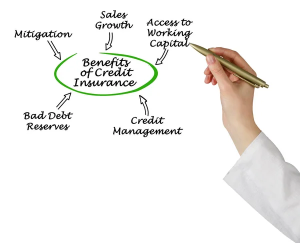Fem Fördelar Med Kreditförsäkring — Stockfoto