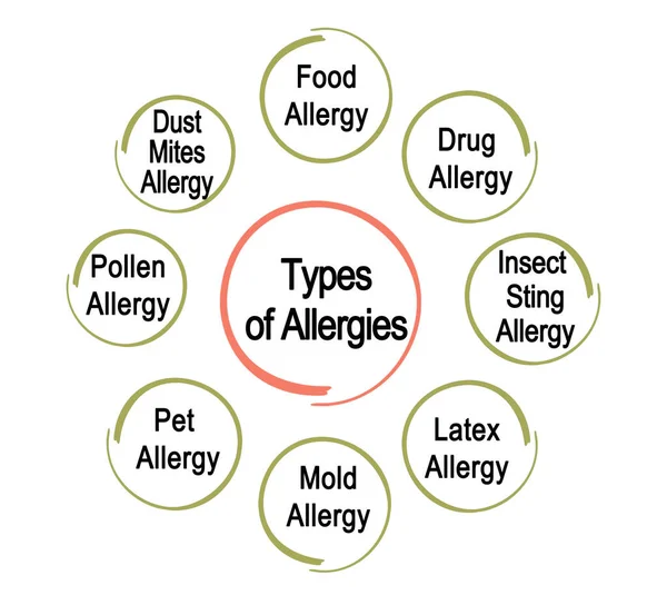 Åtta Typer Allergier — Stockfoto