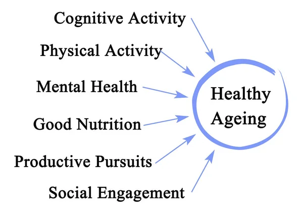 健康老年的六个驱动因素 — 图库照片