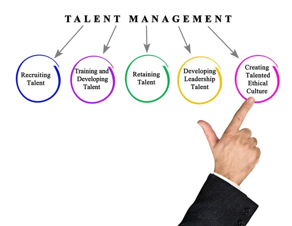 Пять Целей Управления Талантами — стоковое фото