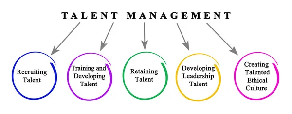 Five Goals Talent Management — Stock Photo, Image