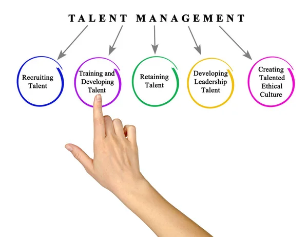 Vijf Doelen Van Talentmanagement — Stockfoto