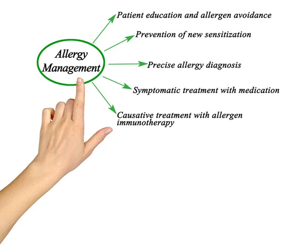 Cinco Abordagens Para Gerenciamento Alergias — Fotografia de Stock