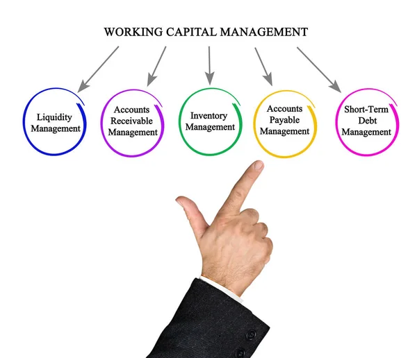 Cinco Componentes Gestão Capital Giro — Fotografia de Stock