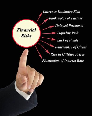 Adam Sekiz Finansal Risk Sunuyor