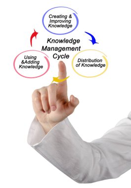Components of Knowledge Management Cycle