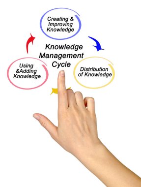 Components of Knowledge Management Cycle