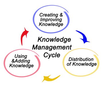 Components of Knowledge Management Cycle
