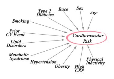 Twelve Drivers of Cardiovascular Risk clipart