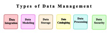 Veri Yönetiminin Altı Tipi