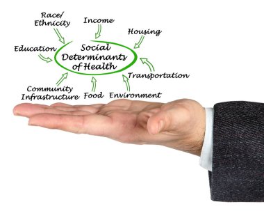 Sekiz Sosyal Sağlık Belirleyicisi