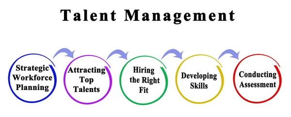 Five Components of  Talent Management
