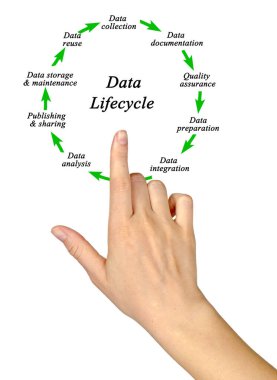 Data Lifecyc 'in Dokuz Bileşeni