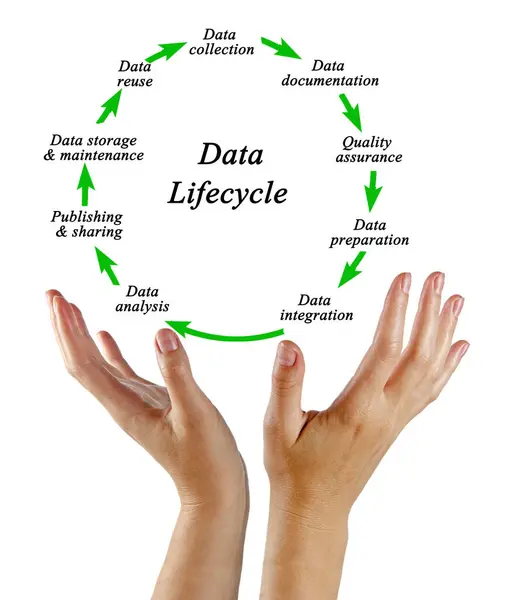 Nine Components Data Lifecycle Royalty Free Stock Photos