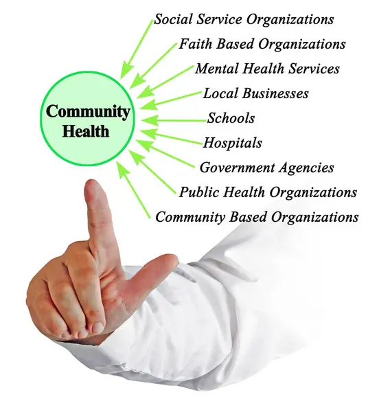 Közösségi Egészség Kilenc Hajtóereje Stock Kép
