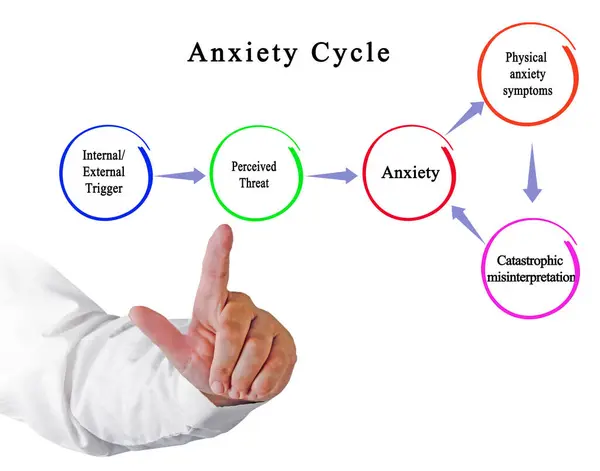 Vijf Componenten Van Angstcyclus — Stockfoto