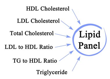 Lipid Panelinde Gösterilen Parametreler