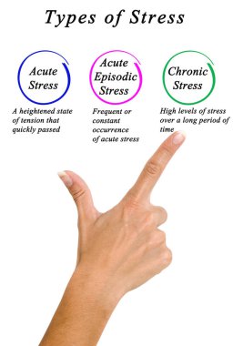 Üç Büyük Stres Tipi