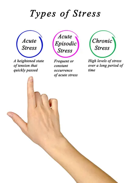 stock image Three Major Types of Stress	