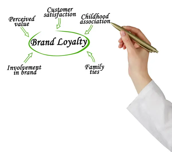 stock image Five Drivers of Brand Loyalty