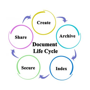 Belge Yaşam döngüsünün bileşenleri
