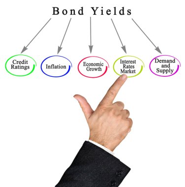 Bağ Verimliliğini Belirleyen Beş Faktör