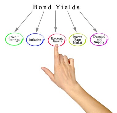 Bağ Verimliliğini Belirleyen Beş Faktör