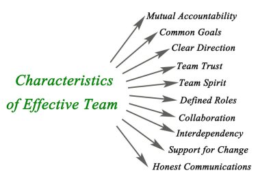 Etkin Takımın On Özelliği