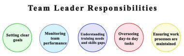  Takım Liderinin Beş Sorumluluğu
