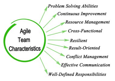 Dokuz Çevik Takım Özellikleri