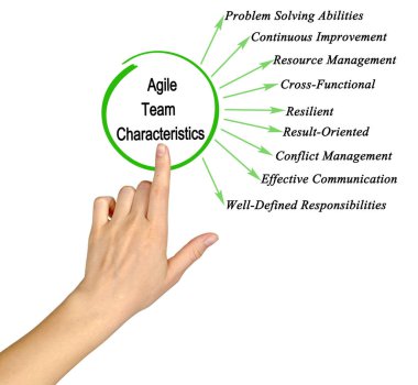 Karşınızda Dokuz Çevik Takım Özellikleri