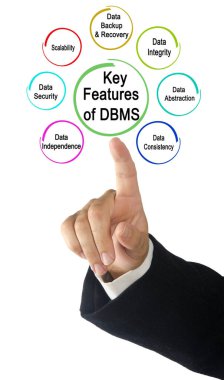 DBMS 'in Yedi Anahtar Özelliği