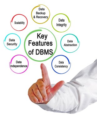 DBMS 'in Yedi Anahtar Özelliği