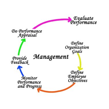 Yönetim Sürecinin Beş Bileşeni